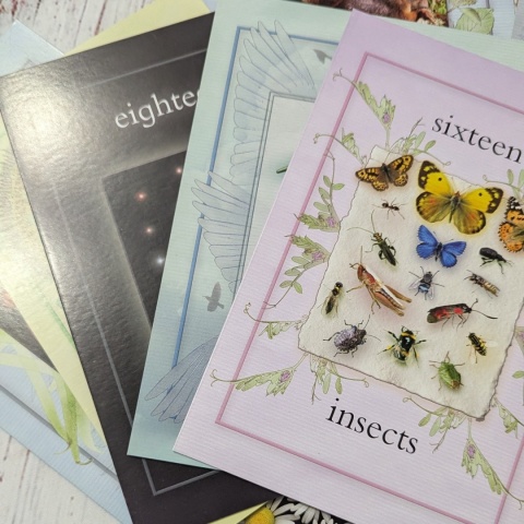 Nature Activity Cards - duże karty edukacyjne przyrodnicze CLIL, rozkładane