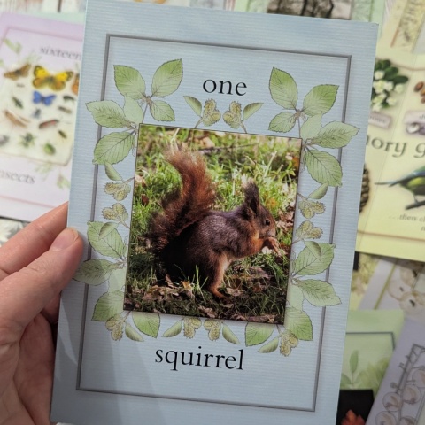 Nature Activity Cards - duże karty edukacyjne przyrodnicze CLIL, rozkładane