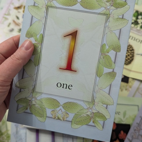 Nature Activity Cards - duże karty edukacyjne przyrodnicze CLIL, rozkładane