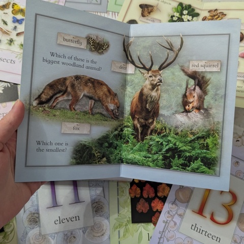 Nature Activity Cards - duże karty edukacyjne przyrodnicze CLIL, rozkładane
