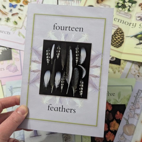 Nature Activity Cards - duże karty edukacyjne przyrodnicze CLIL, rozkładane