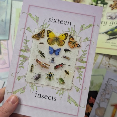 Nature Activity Cards - duże karty edukacyjne przyrodnicze CLIL, rozkładane