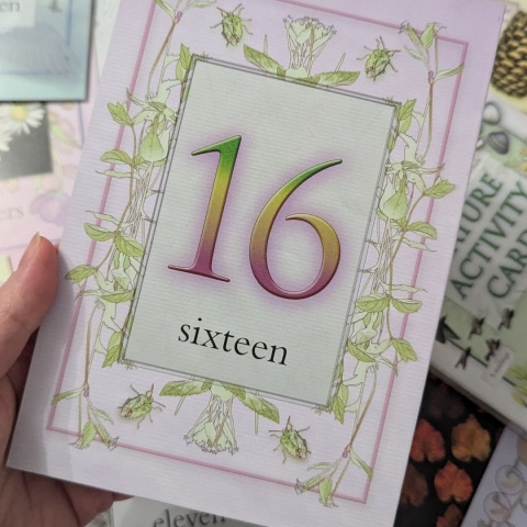 Nature Activity Cards - duże karty edukacyjne przyrodnicze CLIL, rozkładane