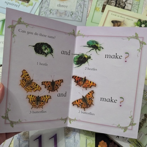 Nature Activity Cards - duże karty edukacyjne przyrodnicze CLIL, rozkładane