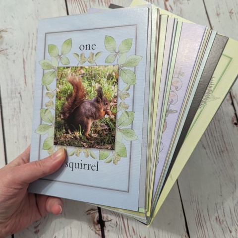 Nature Activity Cards - duże karty edukacyjne przyrodnicze CLIL, rozkładane