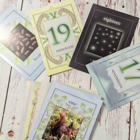 Nature Activity Cards - duże karty edukacyjne przyrodnicze CLIL, rozkładane