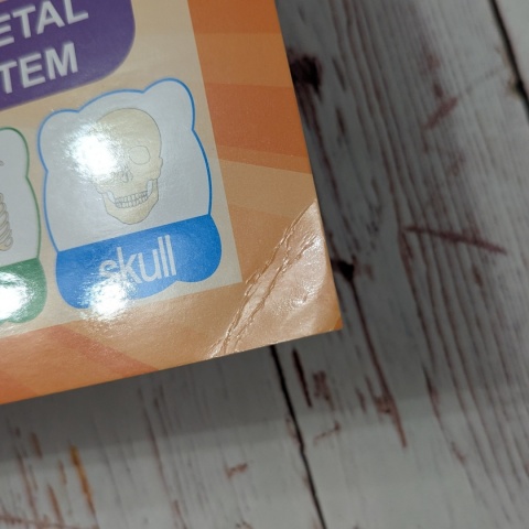 Plansza edukacyjna, plakat Human Body 43x28 cm