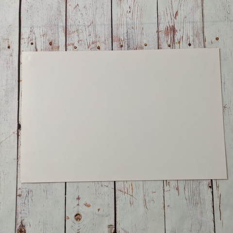 Plansza edukacyjna, plakat Human Body 43x28 cm