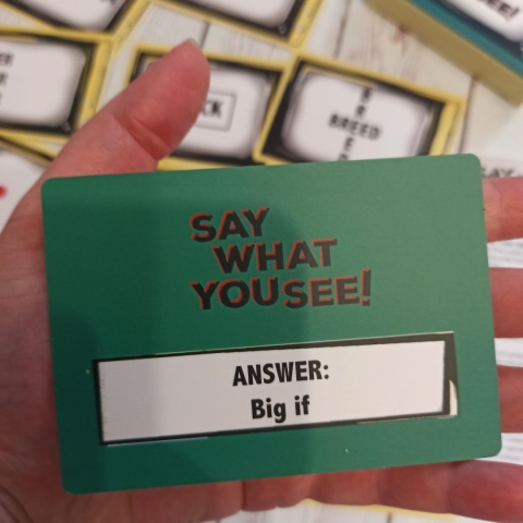 Say What You See! 50 kart z piktogramami - angielskie powiedzenia , hasła lub frazyMINI VERSION