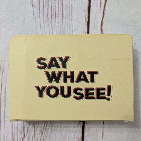 Say What You See! 50 kart z piktogramami - angielskie powiedzenia , hasła lub frazyMINI VERSION