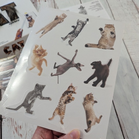 The Cat Game – włochata gra w zgadywanie nie tylko dla kocich fanów - W ŚRODKU NOWA