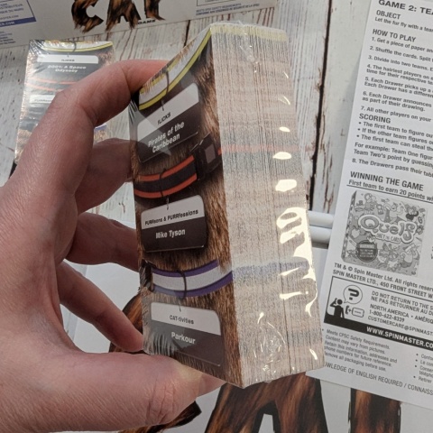 The Cat Game – włochata gra w zgadywanie nie tylko dla kocich fanów - W ŚRODKU NOWA