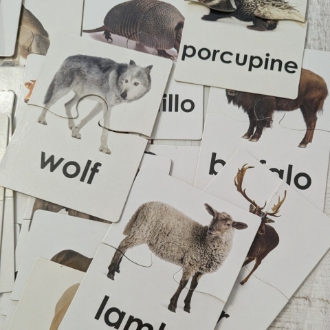 ANIMAL WORDS 52 cards - karty obrazkowe w formie układanek dwuczęściowych