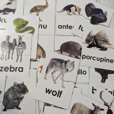 ANIMAL WORDS 52 cards - karty obrazkowe w formie układanek dwuczęściowych