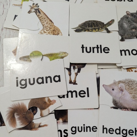 ANIMAL WORDS 52 cards - karty obrazkowe w formie układanek dwuczęściowych