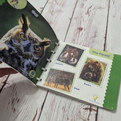 Książka Animal World Leap Frog Baby - Little Touch Library UŻYWANA