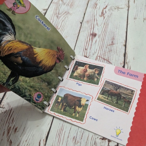 Książka Animal World Leap Frog Baby - Little Touch Library UŻYWANA