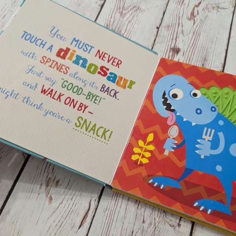 Książka Never Touch a Dinosaur - sensoryczna książka po angielsku UŻYWANA
