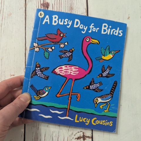 Książka Lucy Cousins - A Busy Day for Birds - po angielsku UŻYWANA