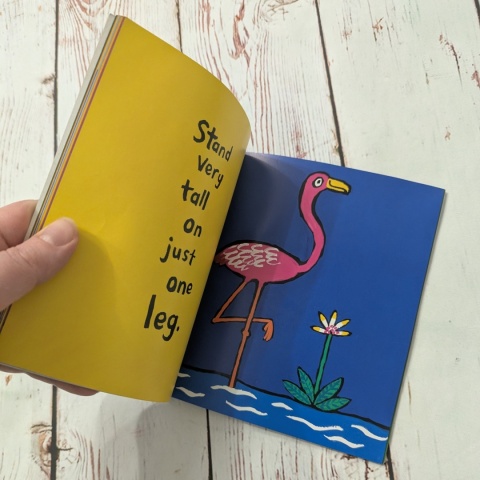 Książka Lucy Cousins - A Busy Day for Birds - po angielsku UŻYWANA