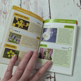 Książka I Spy - In the Countryside - po angielsku UŻYWANA