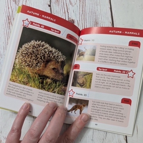 Książka I Spy - In the Countryside - po angielsku UŻYWANA