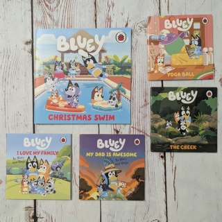 Zestaw 5 książeczek Bluey w języku angielskim UŻYWANE