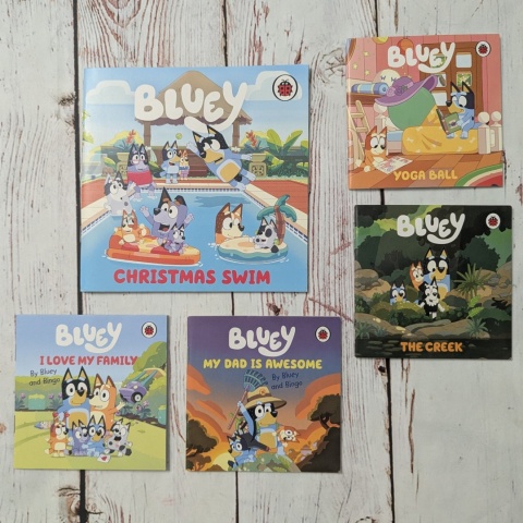 Zestaw 5 książeczek Bluey w języku angielskim UŻYWANE