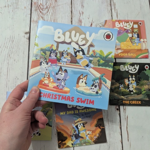 Zestaw 5 książeczek Bluey w języku angielskim UŻYWANE