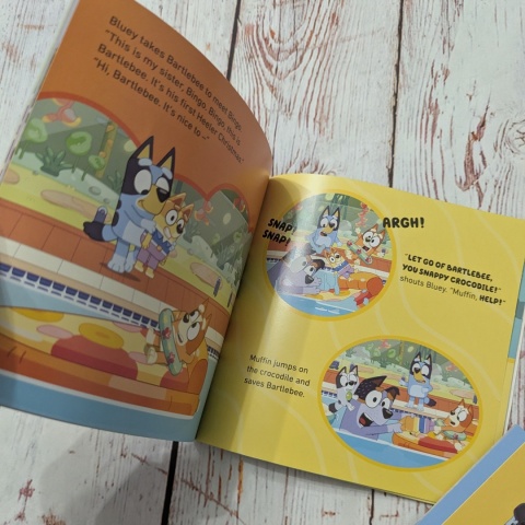 Zestaw 5 książeczek Bluey w języku angielskim UŻYWANE