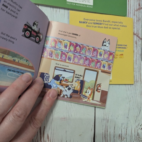 Zestaw 5 książeczek Bluey w języku angielskim UŻYWANE