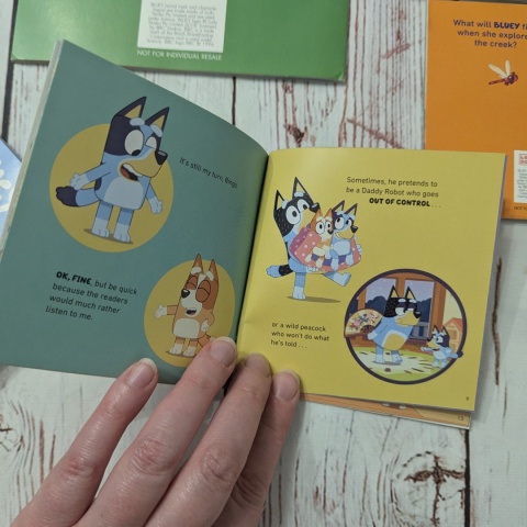 Zestaw 5 książeczek Bluey w języku angielskim UŻYWANE