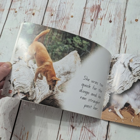 Książka Bilby's Burrow - CLIL - po angielsku UŻYWANA