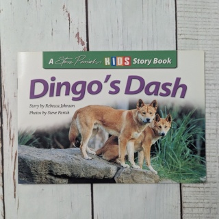Książka Dingo's Dash - CLIL - po angielsku UŻYWANA