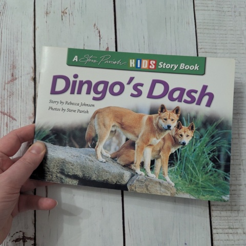 Książka Dingo's Dash - CLIL - po angielsku UŻYWANA