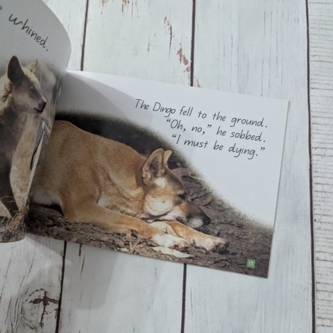 Książka Dingo's Dash - CLIL - po angielsku UŻYWANA