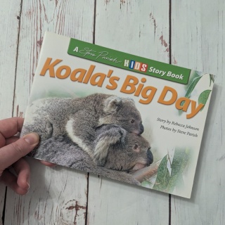 Książka Koala's Big Day - CLIL - po angielsku UŻYWANA