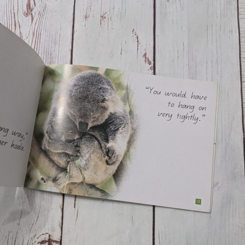 Książka Koala's Big Day - CLIL - po angielsku UŻYWANA