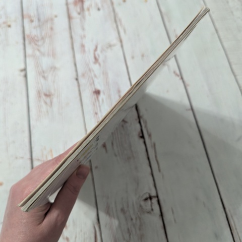 Little Miss Naughty - Roger Hargereaves - duże wydanie po angielsku UŻYWANA