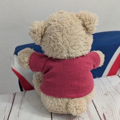Pluszowy Miś w sweterku SCOTLAND z flagą