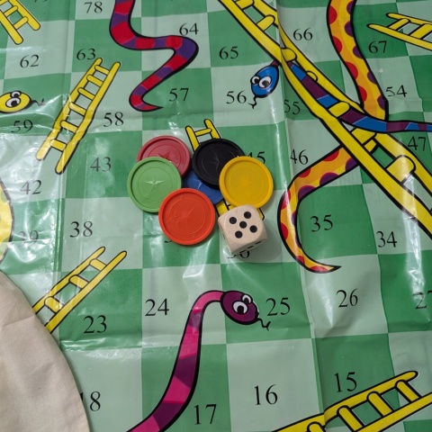 Snakes and Ladders XXL 72X72cm plastikowa plansza w woreczku