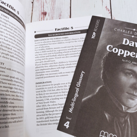 David Copperfield Zestaw Book+ Activities, Teacher's Book, Glossary