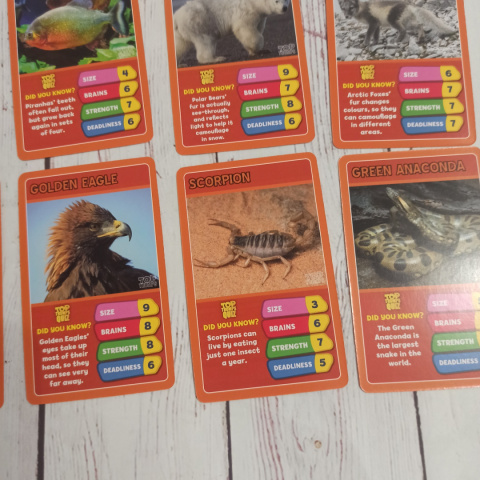 TOP TRUMPS - Predators Drapieżniki TOP TRUMPS - Predators Drapieżniki