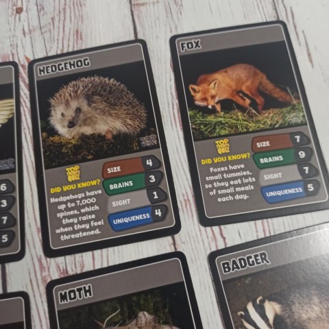 TOP TRUMPS - Night Animals Zwierzęta Nocne TOP TRUMPS - Night Animals Zwierzęta Nocne