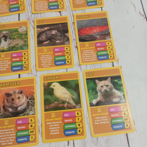 TOP TRUMPS - Pets Zwierzęta Domowe TOP TRUMPS - Pets Zwierzęta Domowe