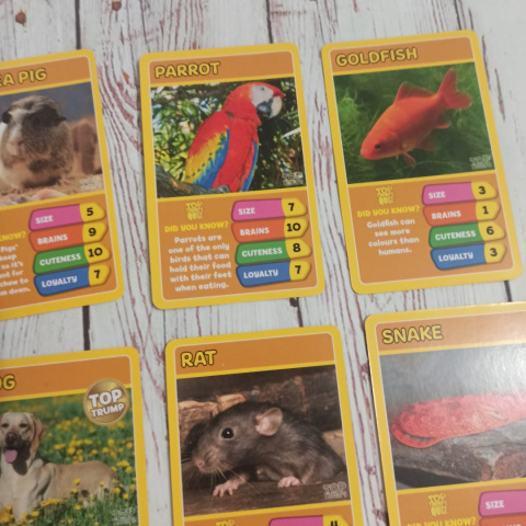 TOP TRUMPS - Pets Zwierzęta Domowe TOP TRUMPS - Pets Zwierzęta Domowe