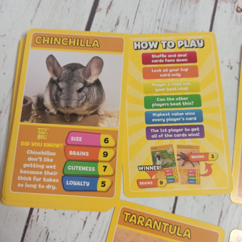 TOP TRUMPS - Pets Zwierzęta Domowe TOP TRUMPS - Pets Zwierzęta Domowe