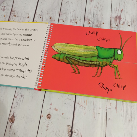 Alex Schefller's - Flip Flap MINIBEASTS Alex Schefller's - Flip Flap MINIBEASTS