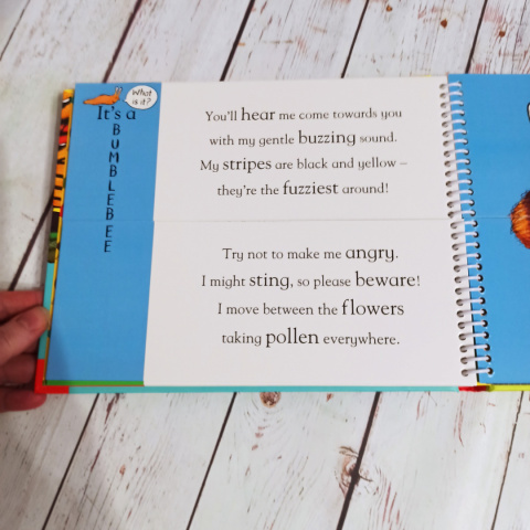 Alex Schefller's - Flip Flap MINIBEASTS Alex Schefller's - Flip Flap MINIBEASTS