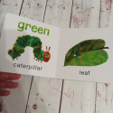 Eric Carle COLOURS